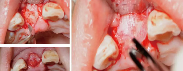 圖片3.png 圖片3.png